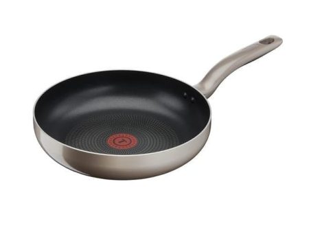 Tefal Distincion Sarten 22 cm on Sale